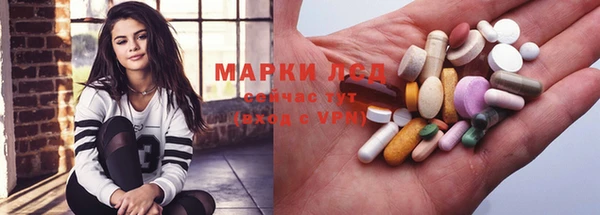 PSILOCYBIN Верея