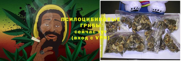 PSILOCYBIN Верея