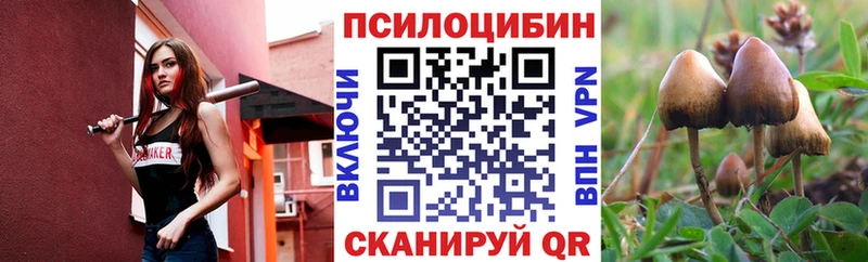Купить закладки  Боровск  Псилоцибиновые грибы прущие грибы 